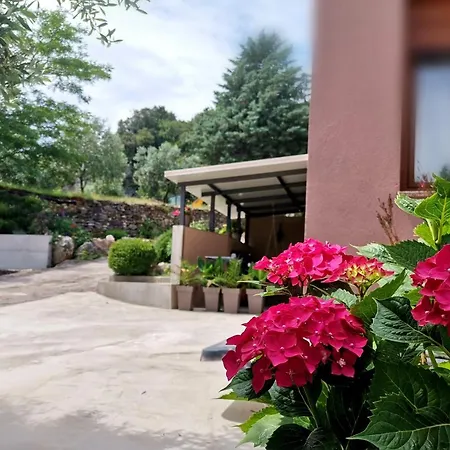 Apartman Cave With Free Parking