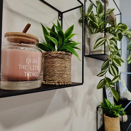Apartman Cave With Free Parking *